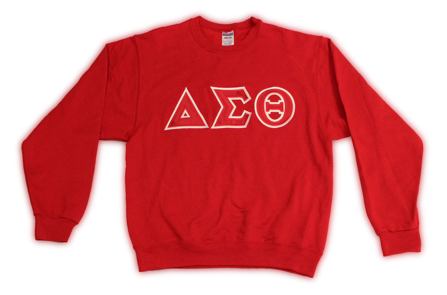 Delta Sigma Theta | Crewneck Sweatshirt / Hoodie
